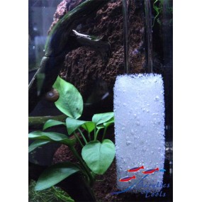 Esponja protectora