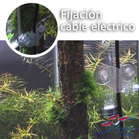 Soporte separador Pack 2 unids.