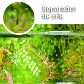 Soporte separador Pack 2 unids.