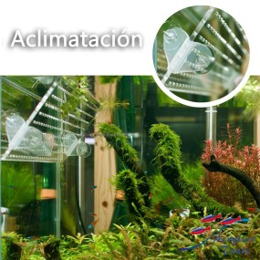 Soporte separador Pack 2 unids.