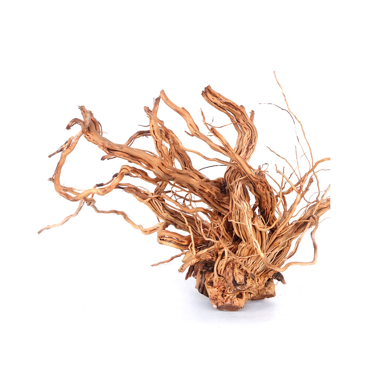 TWIST ROOT 