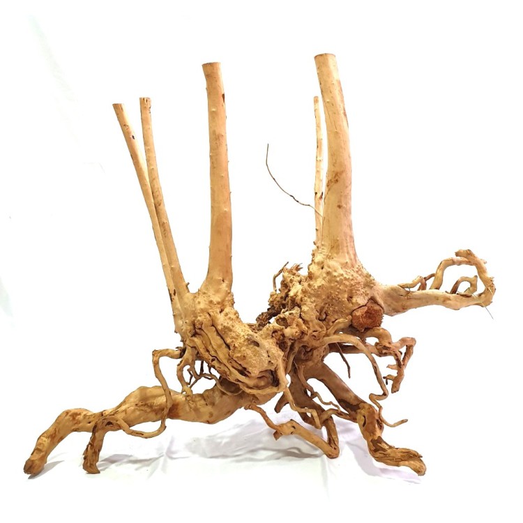 CORAL SINKER
