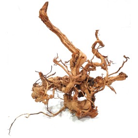 TWIST ROOT 
