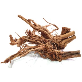 TWIST ROOT 