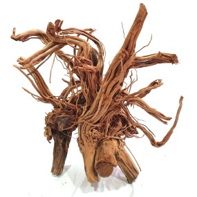 TWIST ROOT 