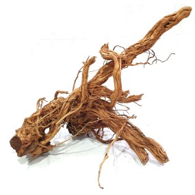 TWIST ROOT 