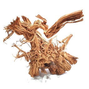 TWIST ROOT 