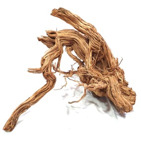 TWIST ROOT 
