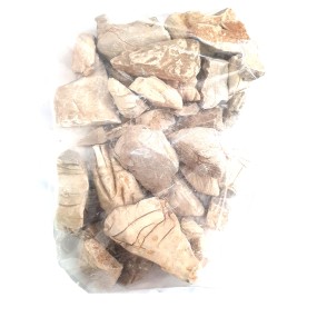 Elephant Skin