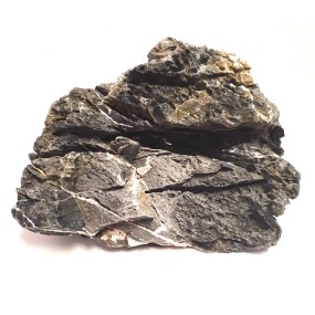CORAL SINKER