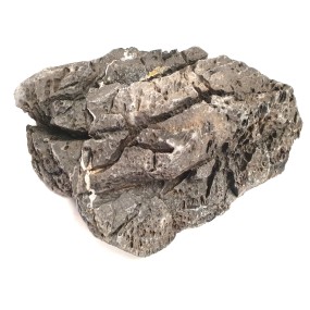 CORAL SINKER