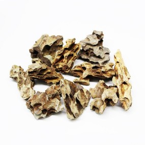 CORAL SINKER
