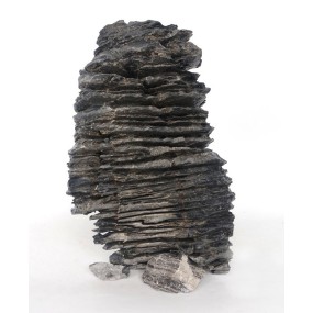 CORAL SINKER