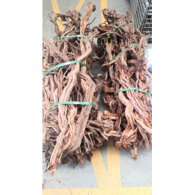 Ramas Twist Root