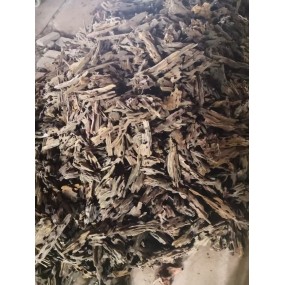 Dragon Wood 