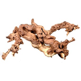 CORAL SINKER