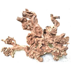 CORAL SINKER