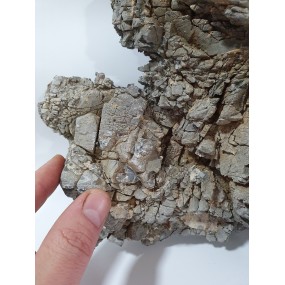 CORAL SINKER