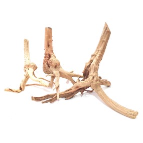 WOOD STUMP