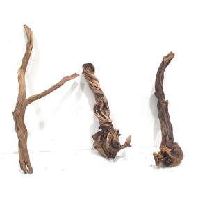 CORAL SINKER