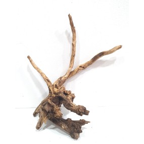 CORAL SINKER