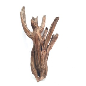 DRIFT WOOD