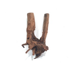 CORAL SINKER