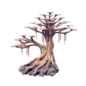 Bonsai Rasamala