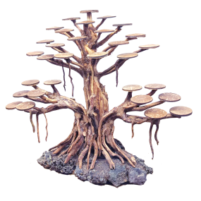 Bonsai Rasamala