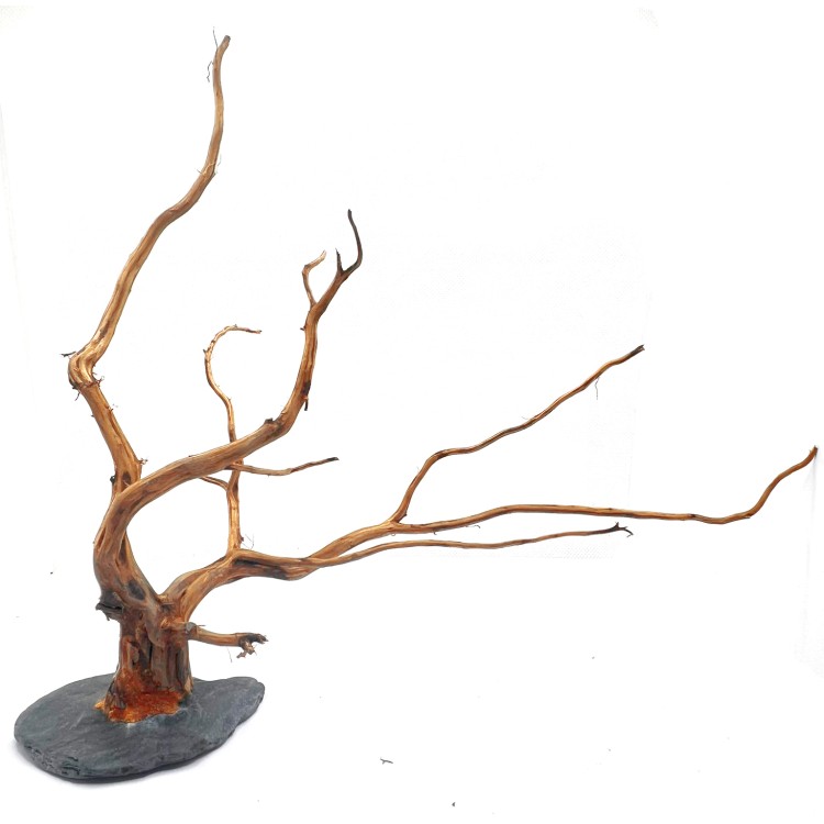 RASAMALA BROWN COMPACT