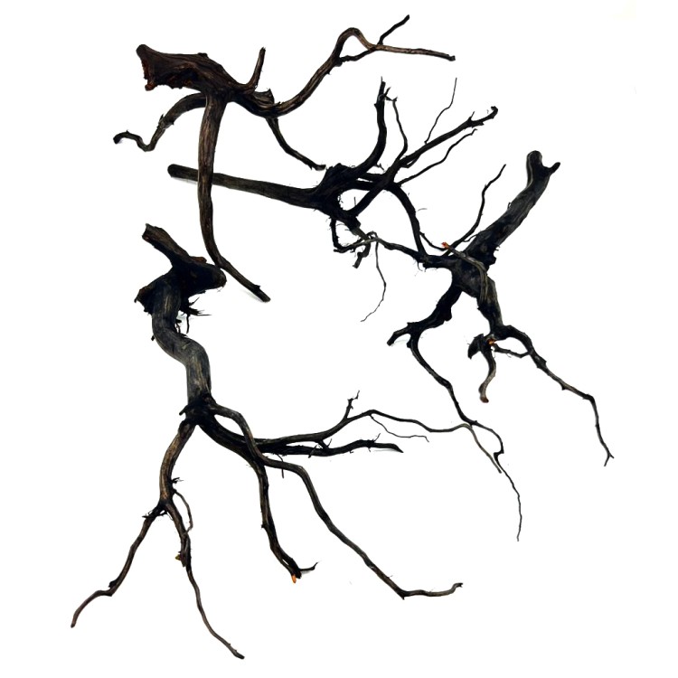 RASAMALA BLACK