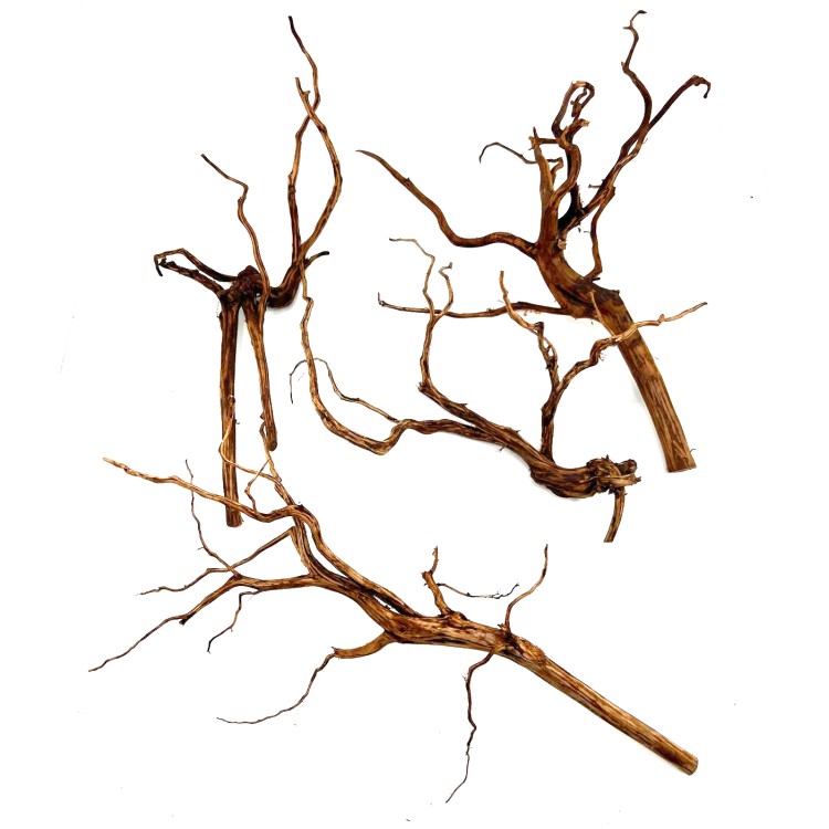 RASAMALA BROWN