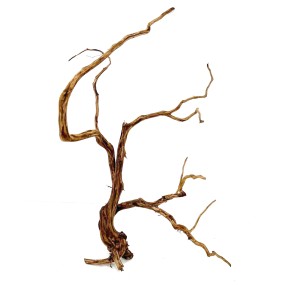 RASAMALA BROWN