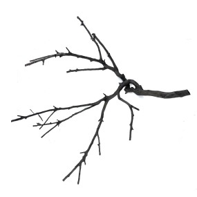 Shadow wood