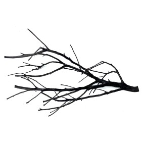 Shadow wood