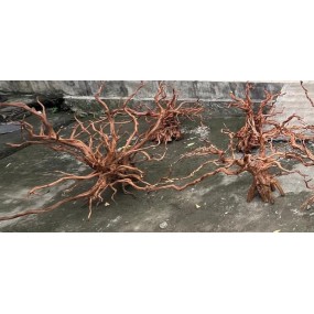 RASAMALA BROWN JUMBO