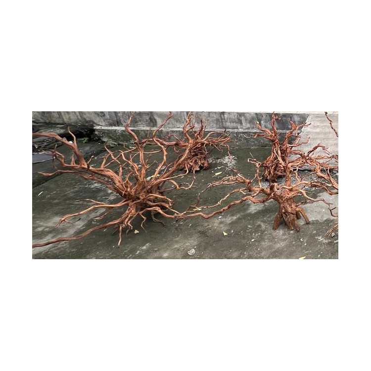 RASAMALA BROWN JUMBO