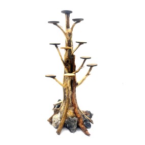 Bonsai Rasamala Mini