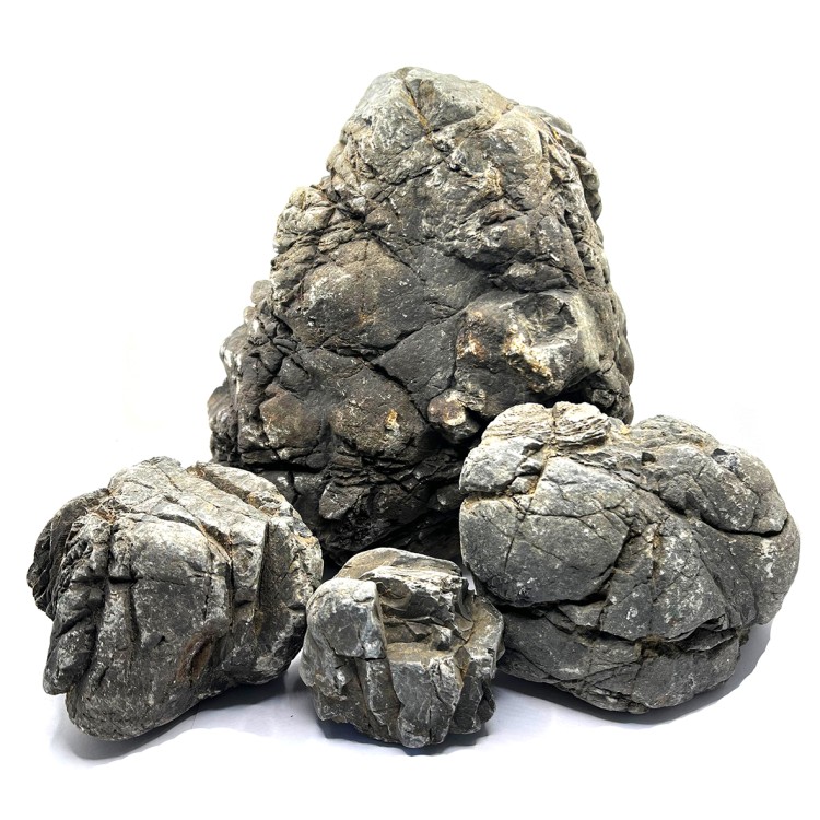TRULY STONE