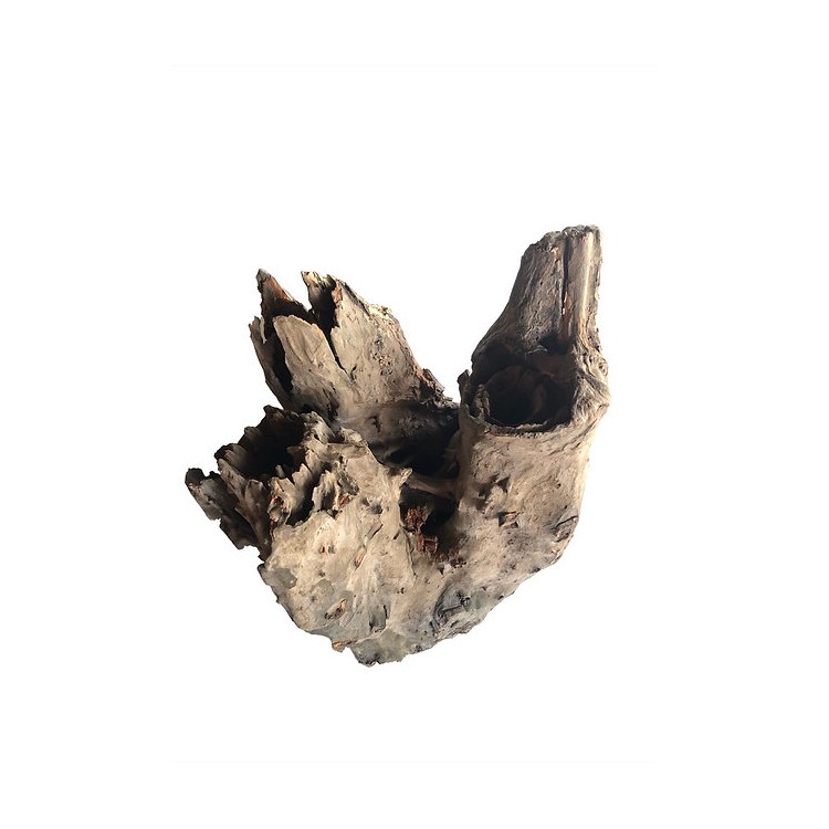 Tree stump