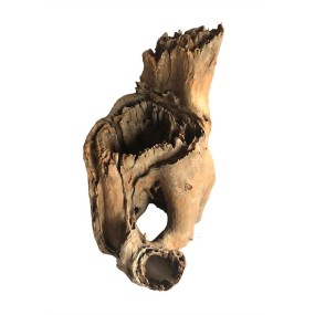 Tree stump