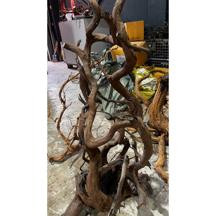 Giat root 60-150cm