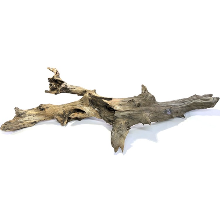 Natural Driftwood