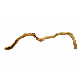 Snake GOLD