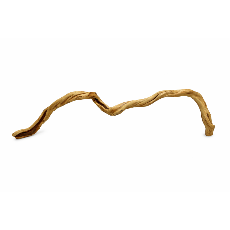 Snake GOLD