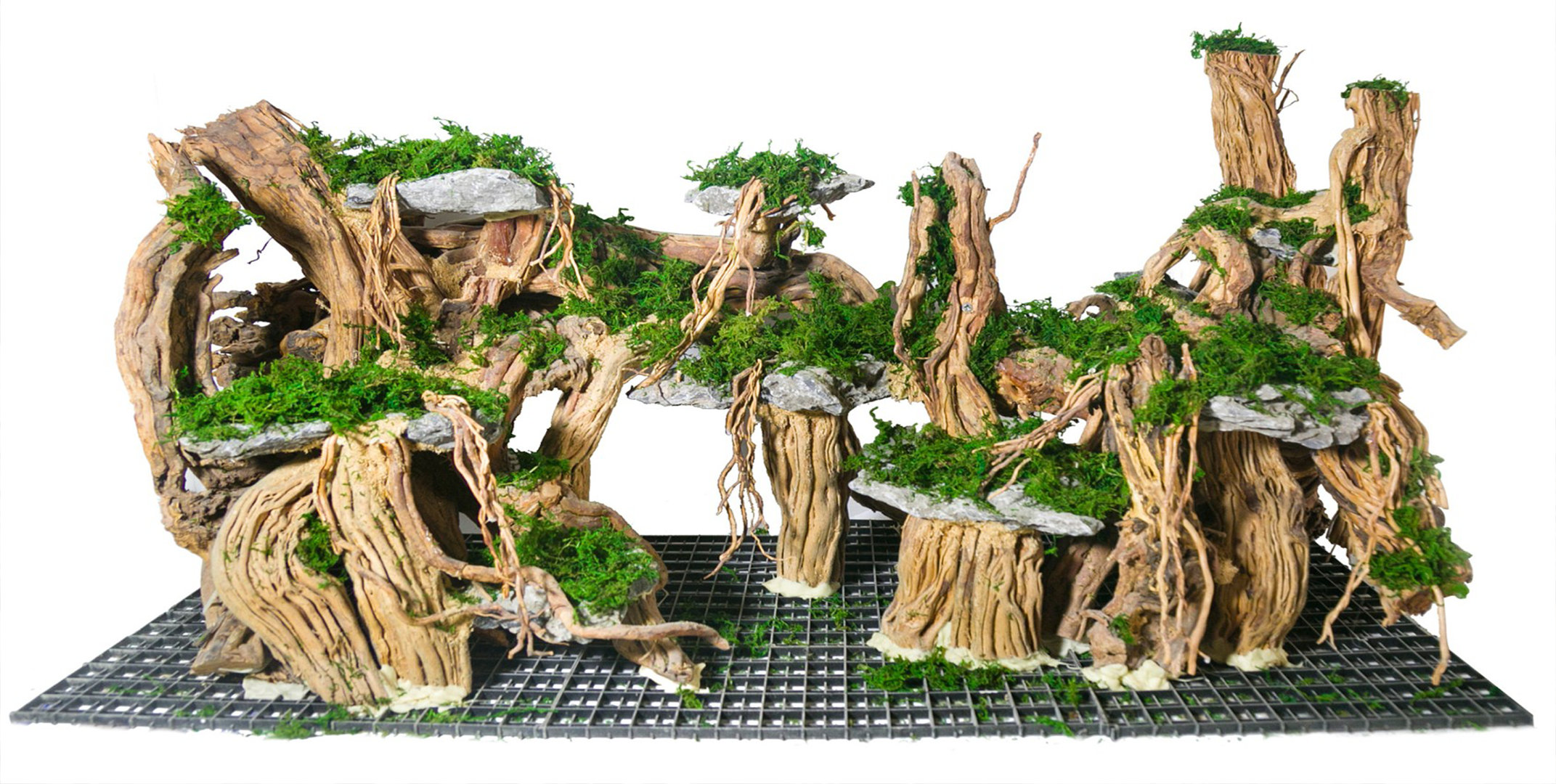 Riverest Aquascape